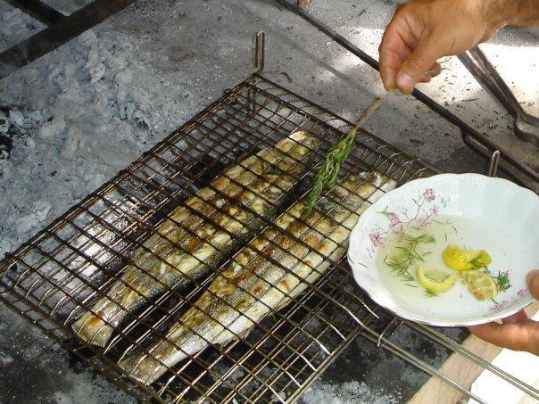 Guesthouse Lanca 티바트 외부 사진